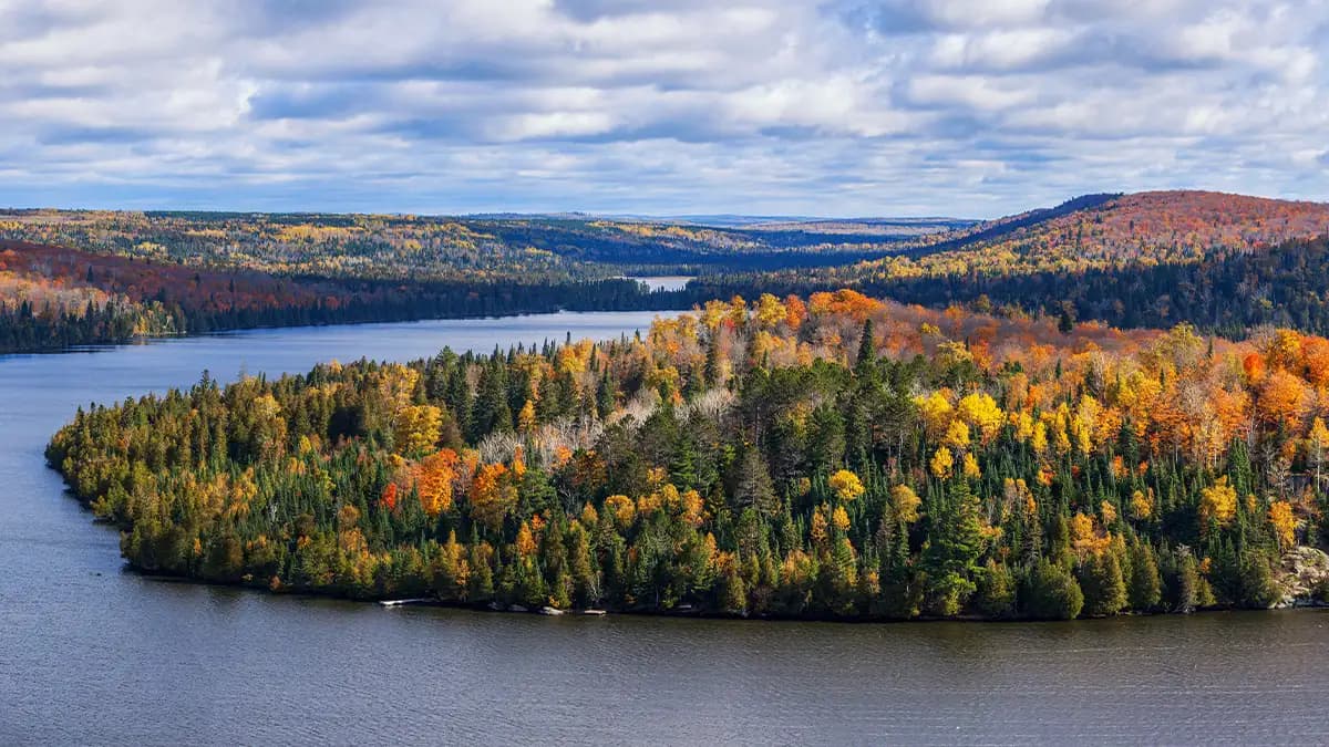 Minnesota market region
