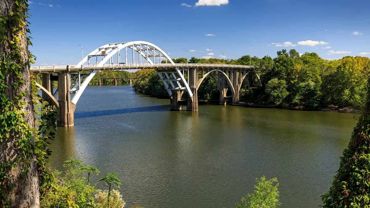 Alabama market region