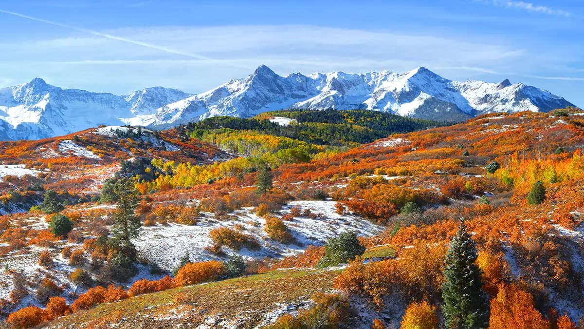 Colorado market region