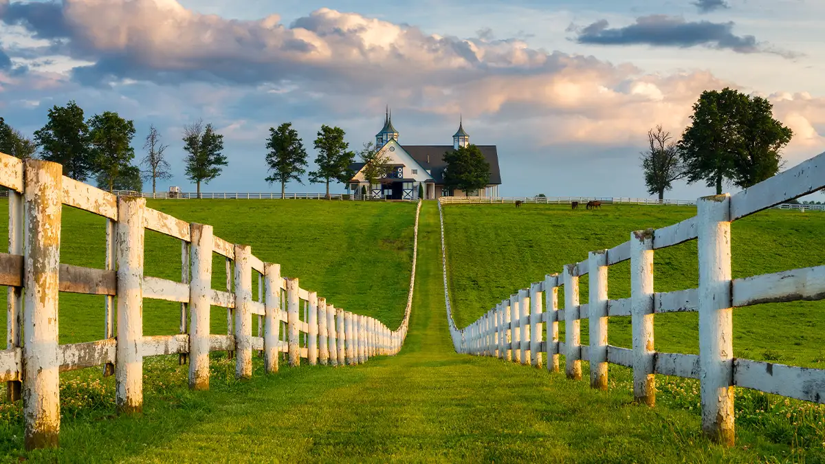 Kentucky market region