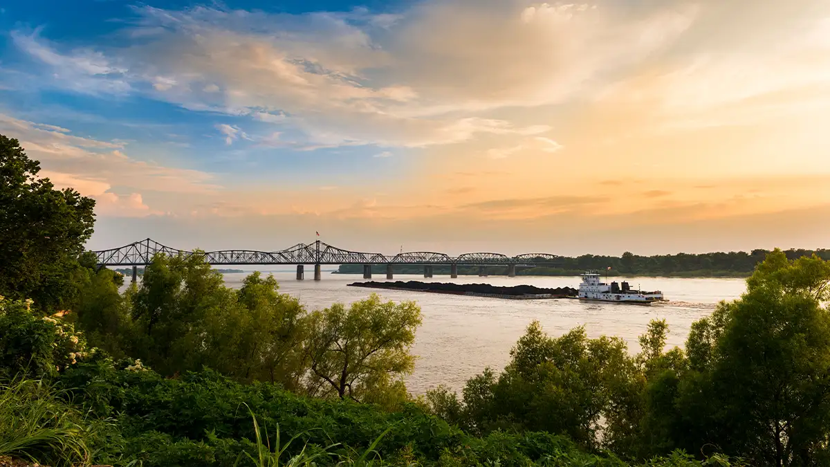 Mississippi market region