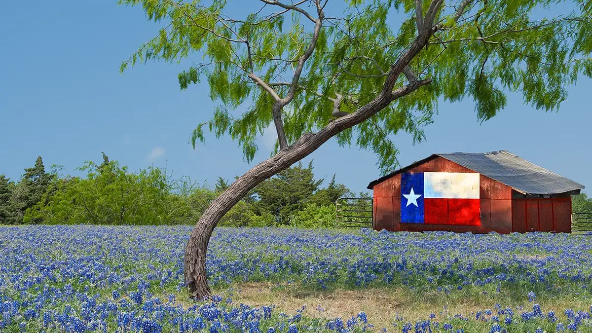 Texas market region