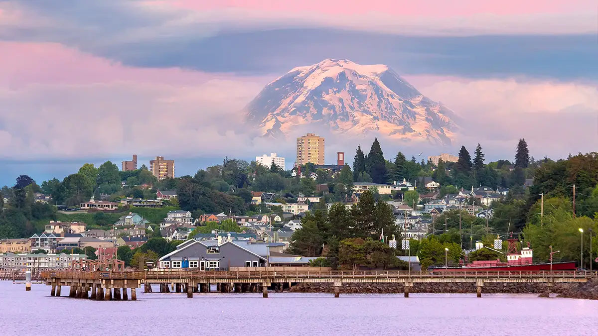 Washington market region