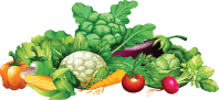 Anacortes Farmers Market