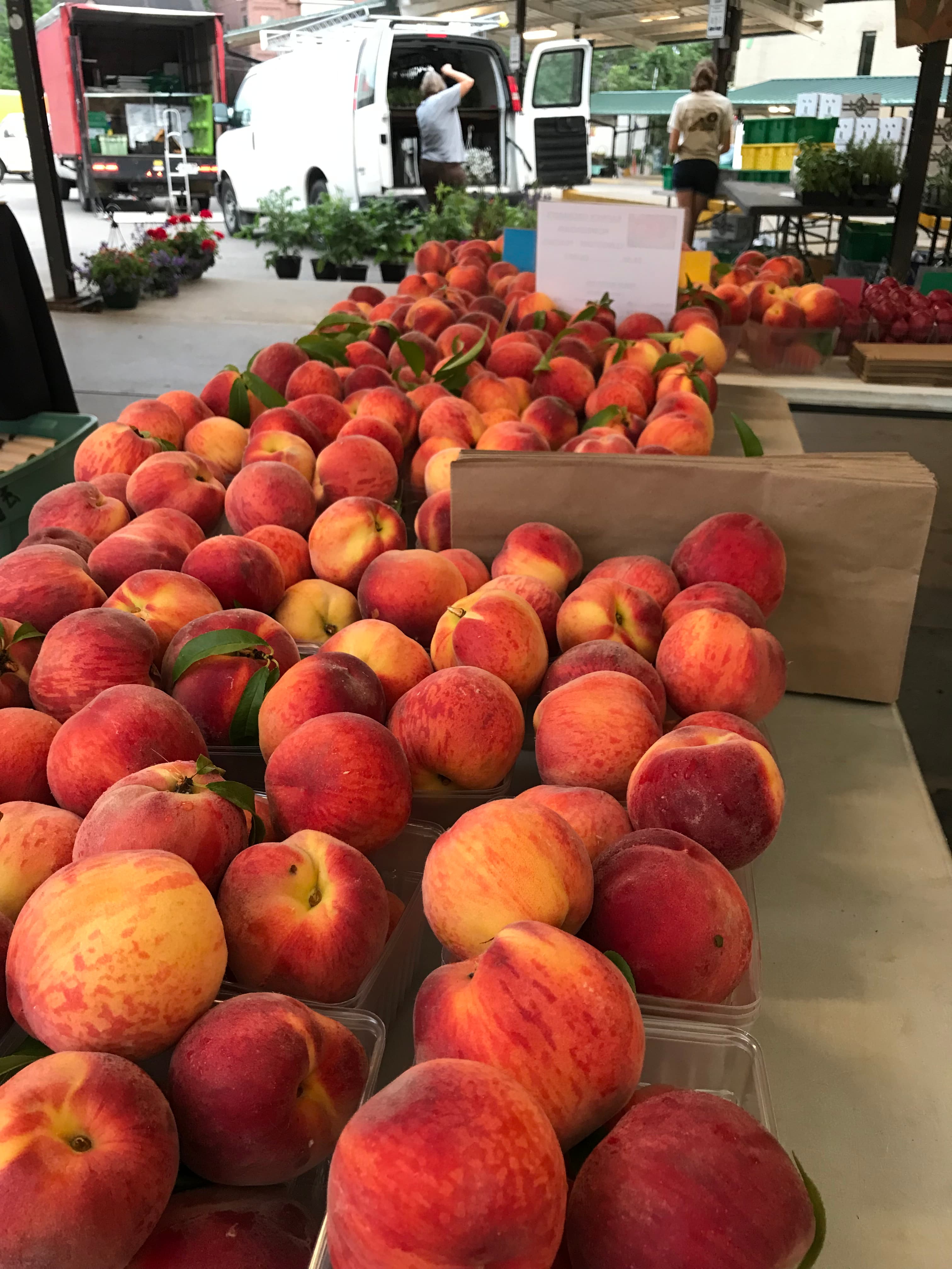 Ann Arbor Farmers Market