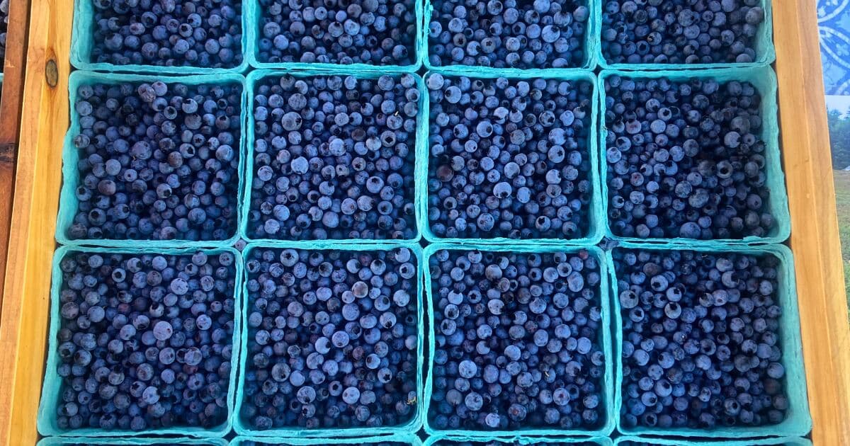 Bar Harbor Eden Farmers Market
