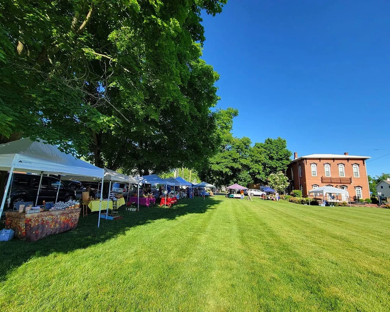 Bellville Farmers Market