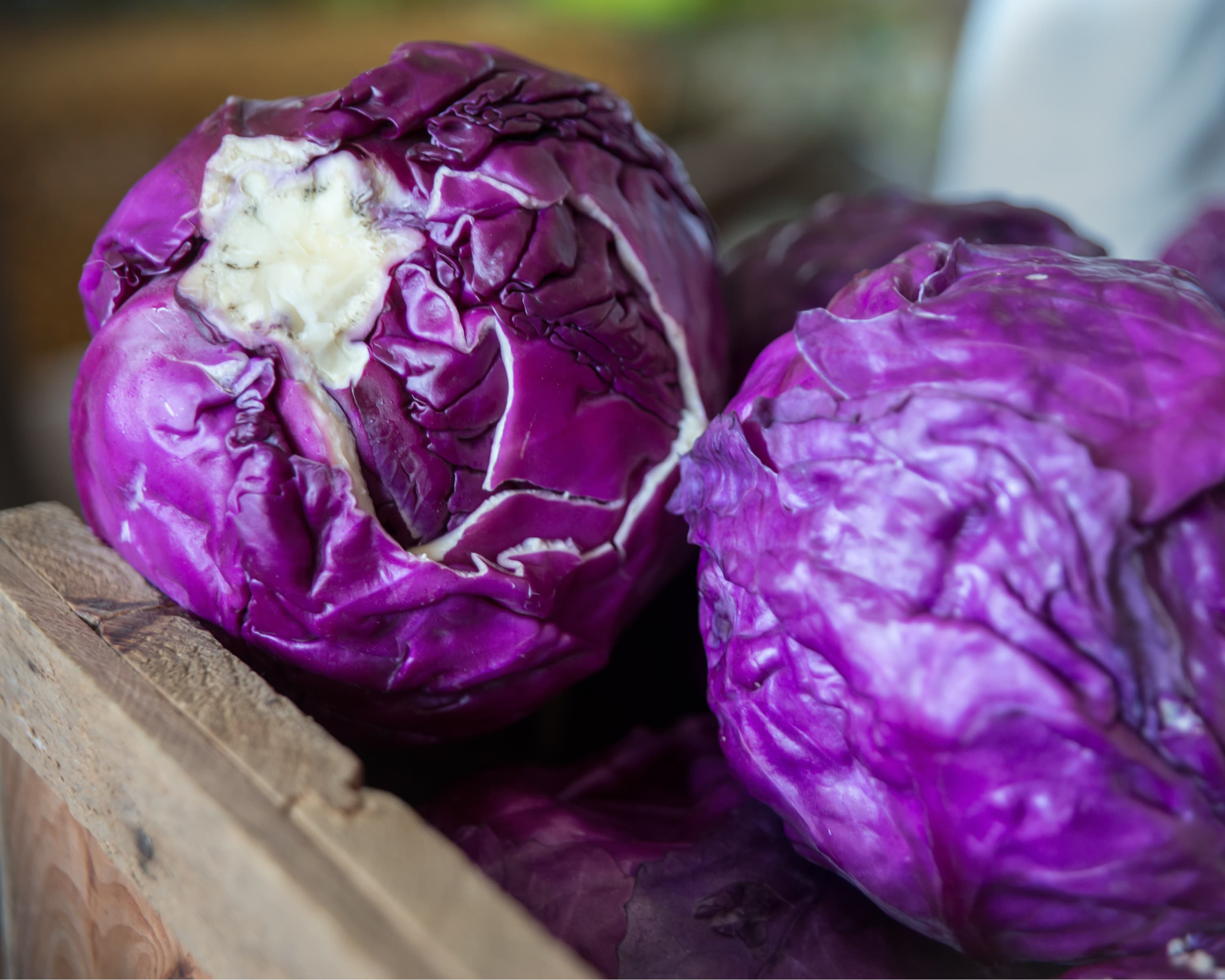 Berwick Winter Farmers Market