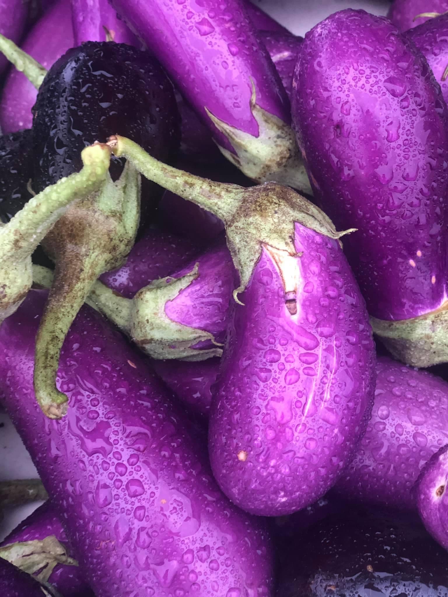 Camdenton Farmers' Market