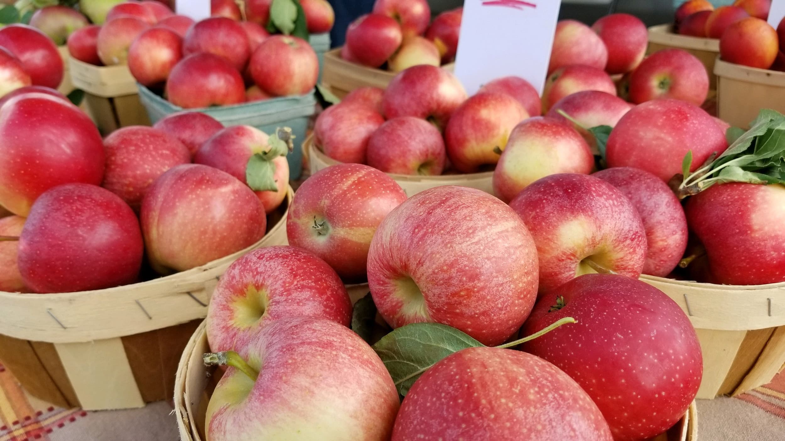 Canton Farmers' Market