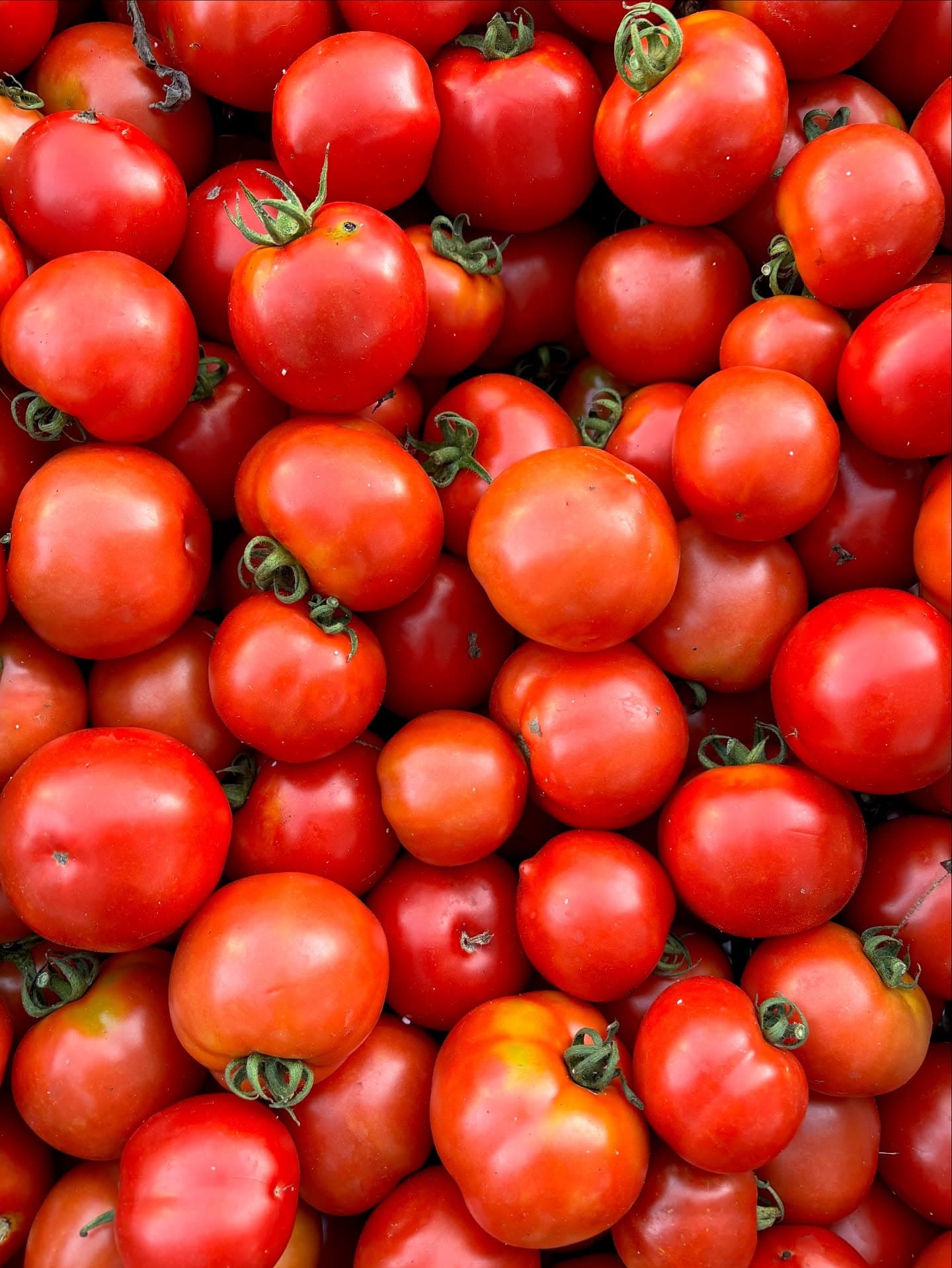 Cary Farmers Market