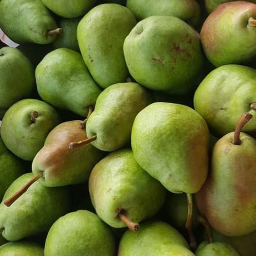 Castle Rock Farmers Market