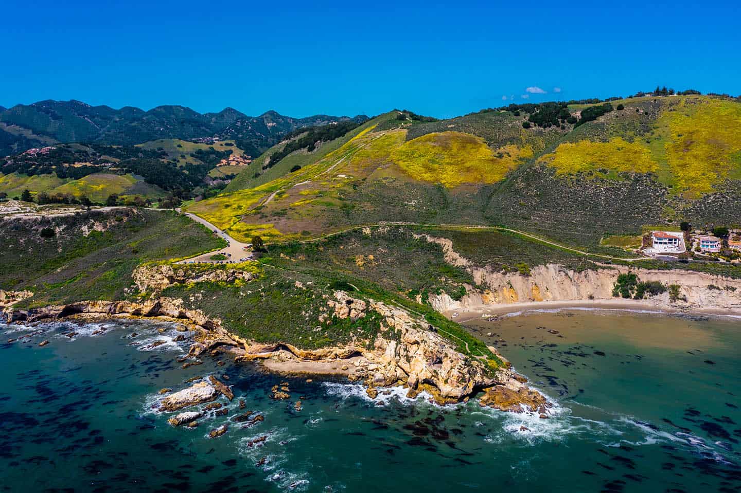 Cayucos Farmers' Market