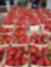 Charles Square Farmers’ Market