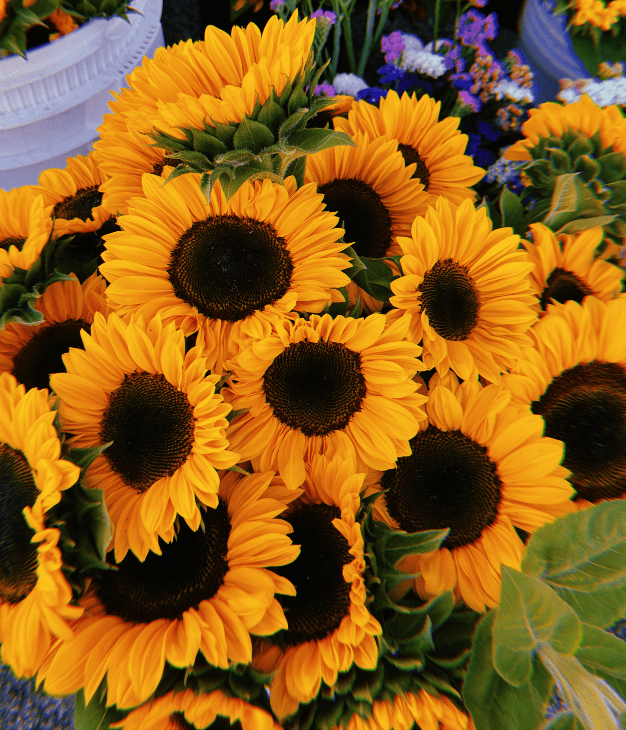 Chehalis Farmers Market