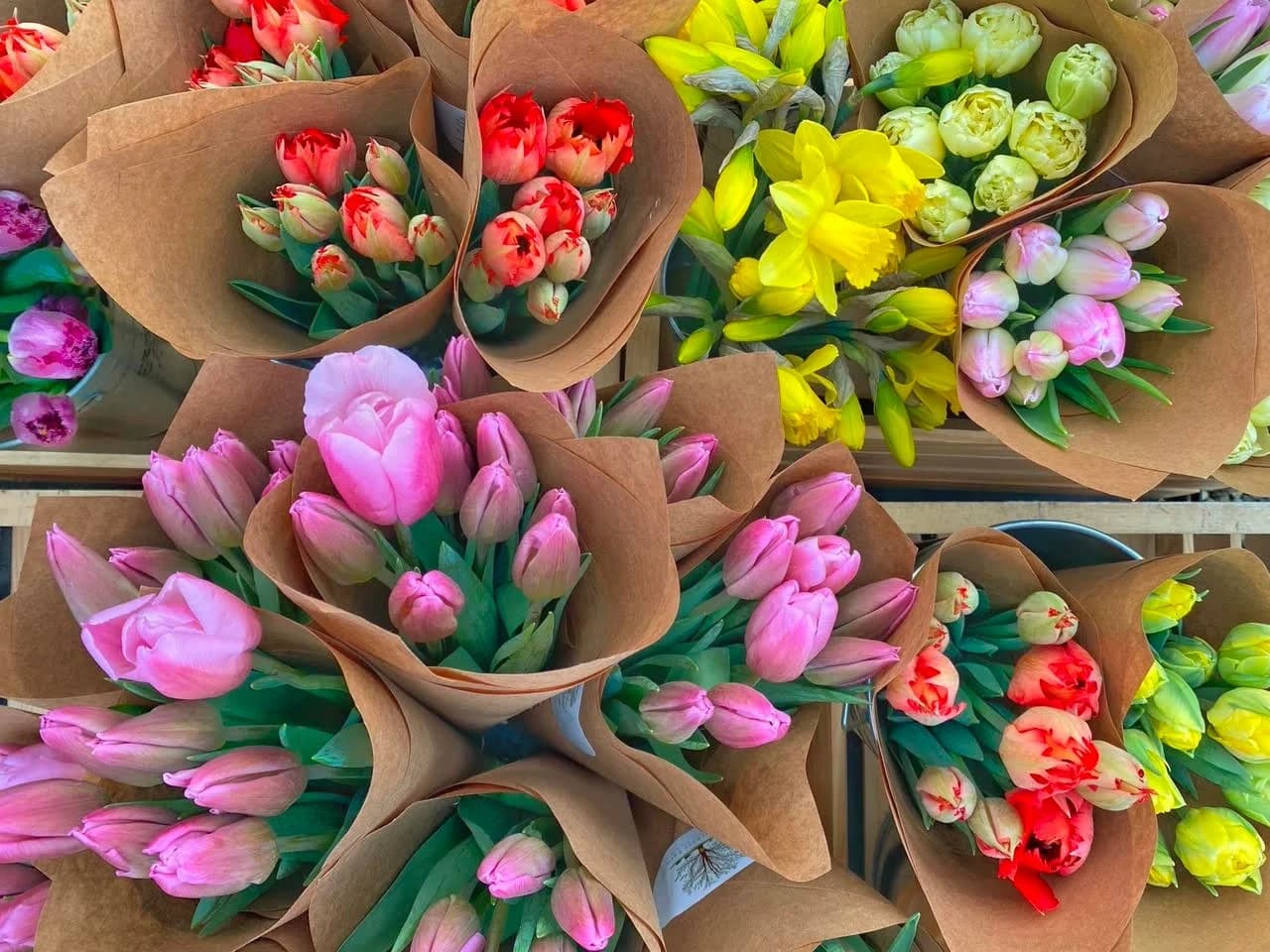 Cold Spring Farmers Market