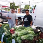 Country Farm and Craft Market
