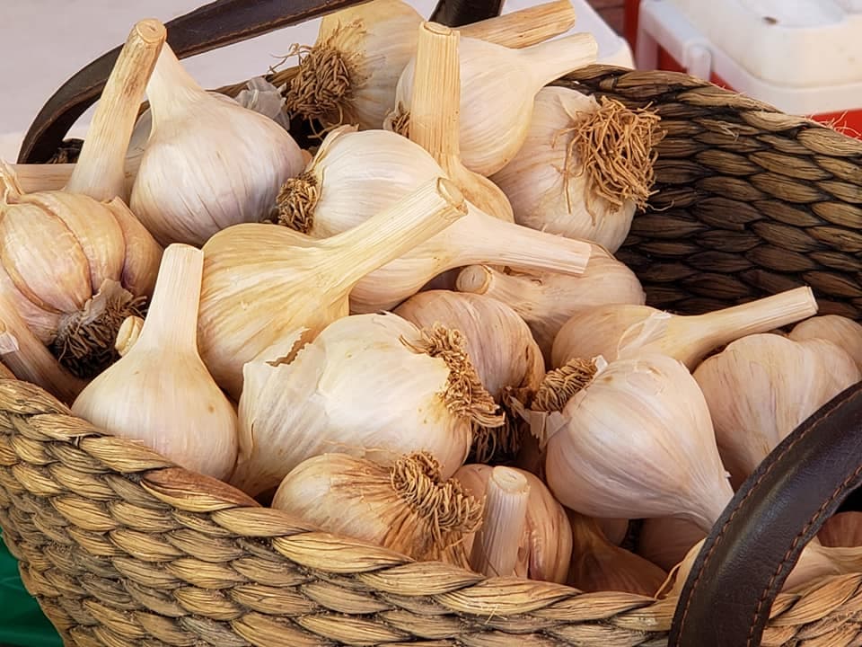 Frederick City Market