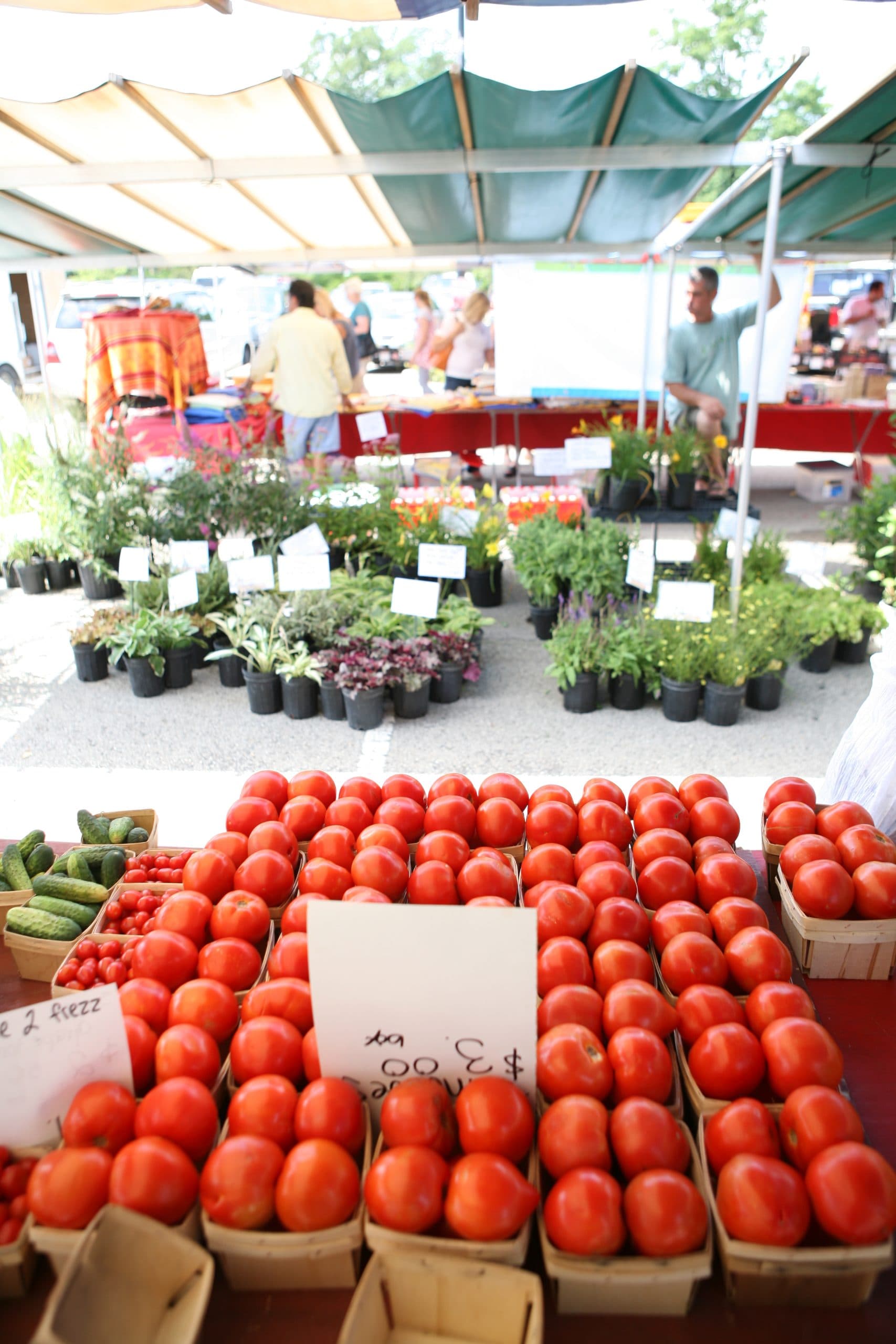 Geneva French Market