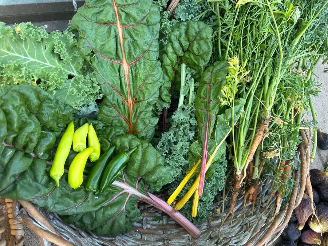 Globe-Miami Farmers Market