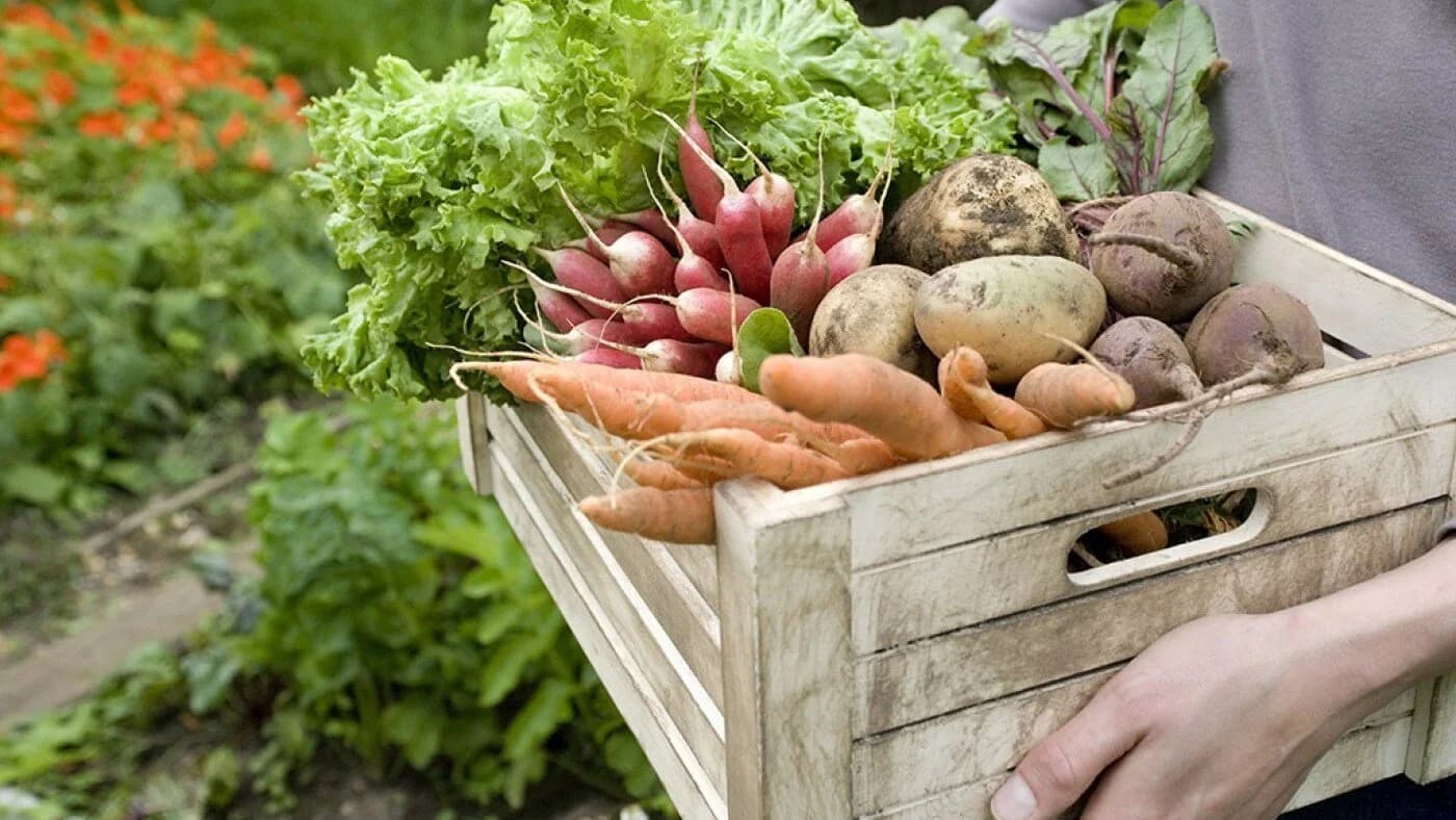 Greenwich Farmers Market