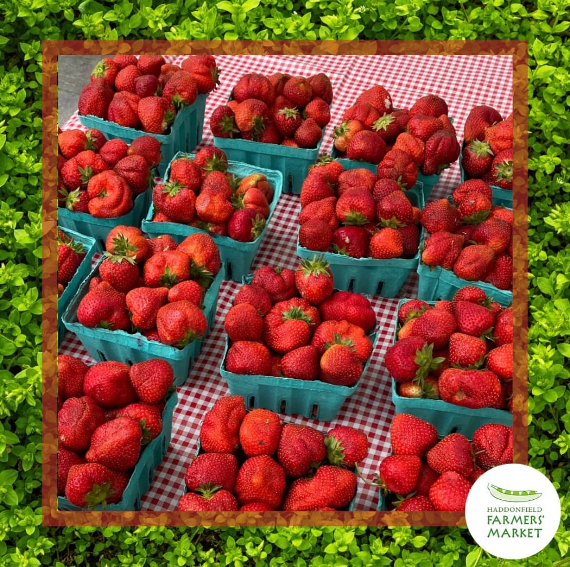 Haddonfield Farmers’ Market