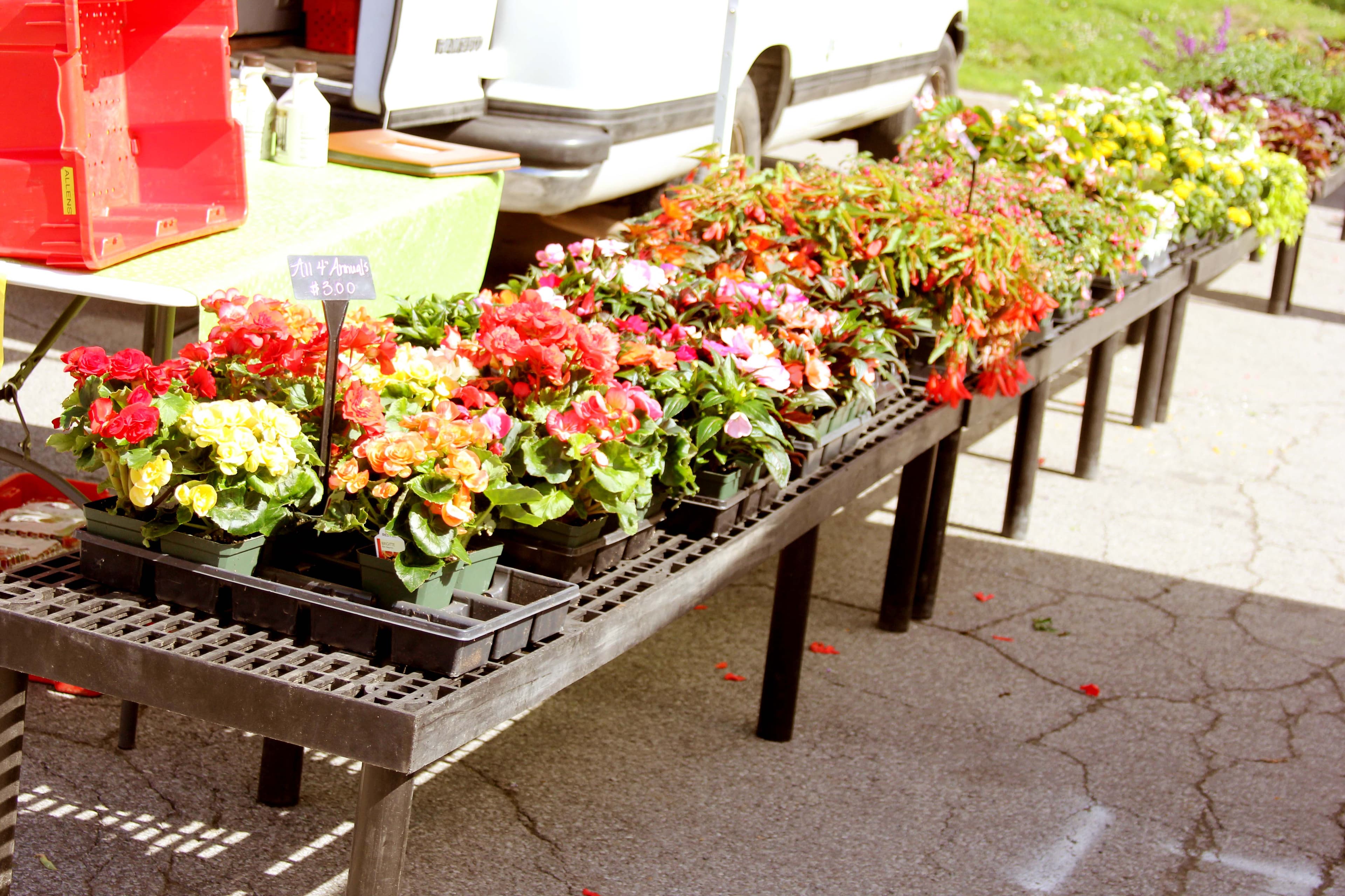 Hamburg Farmers Market