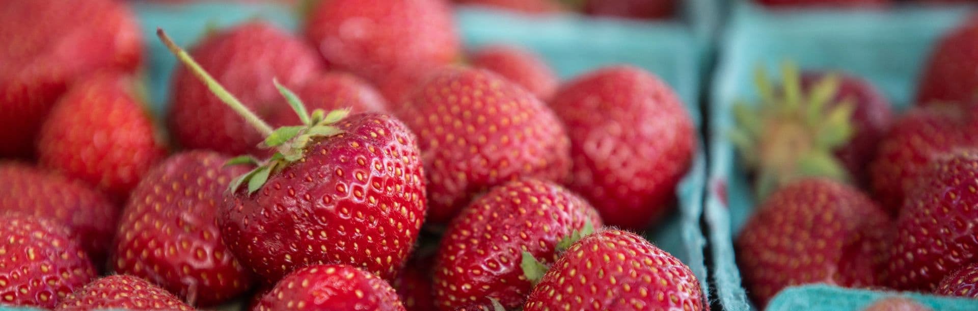 Headhouse Farmers’ Market