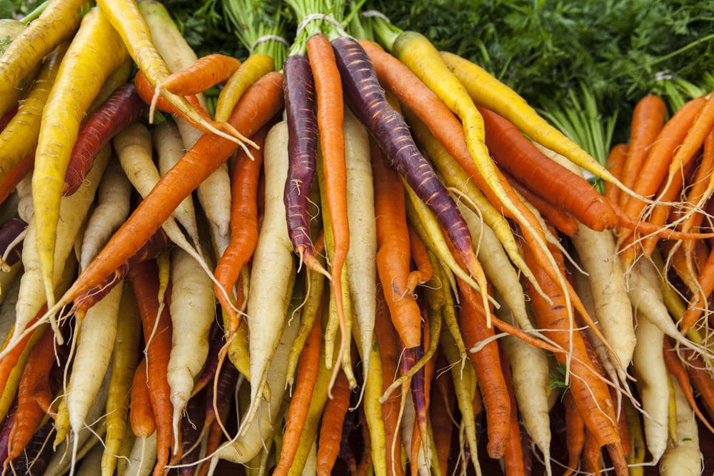 Kingston Farmers Market