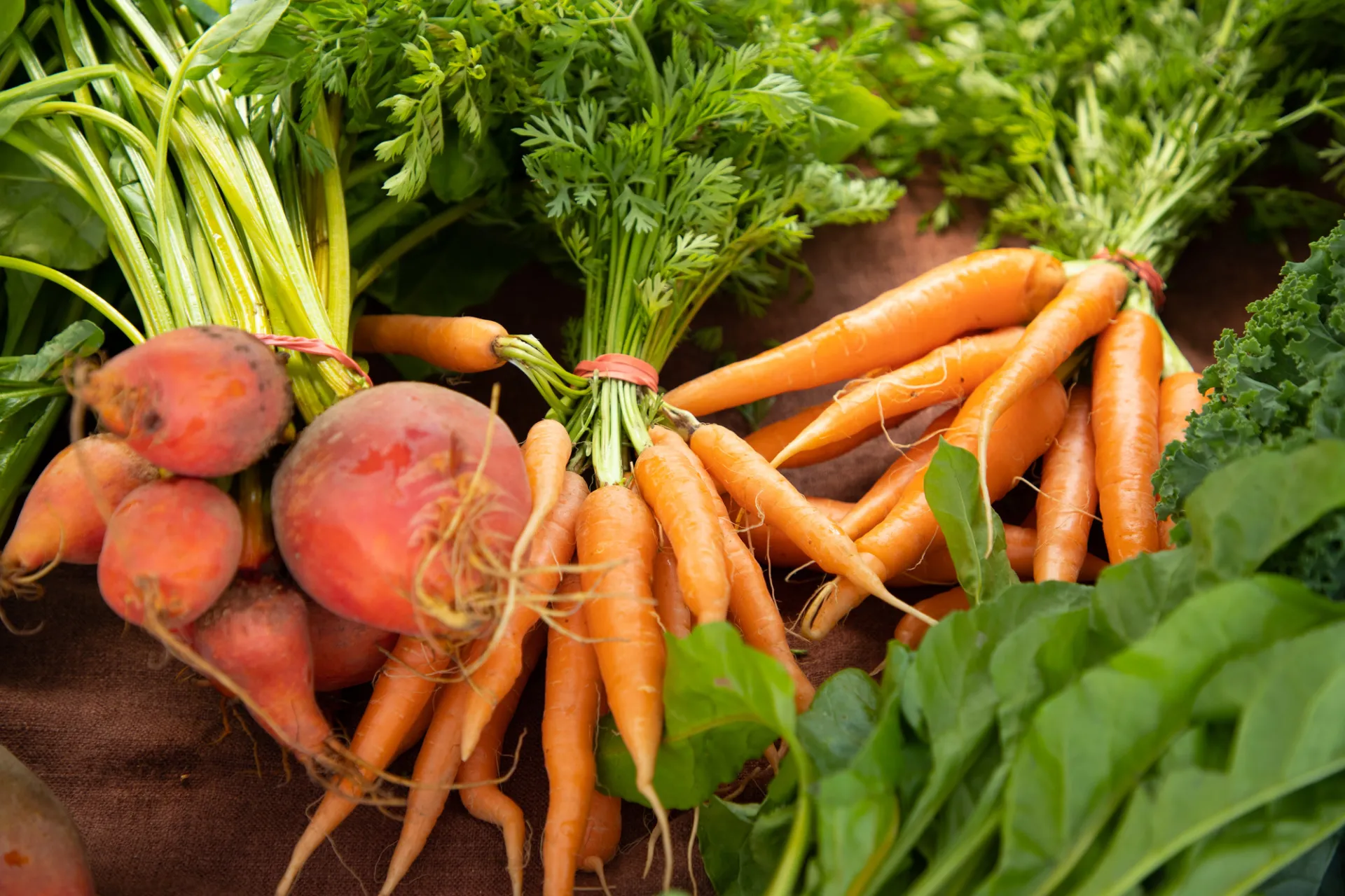 Lake Placid Farmers Market