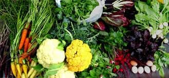 Monument Hill Farmers' Market