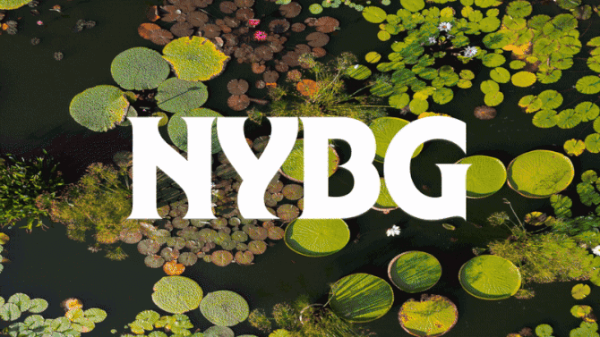 NYBG Farmers Market