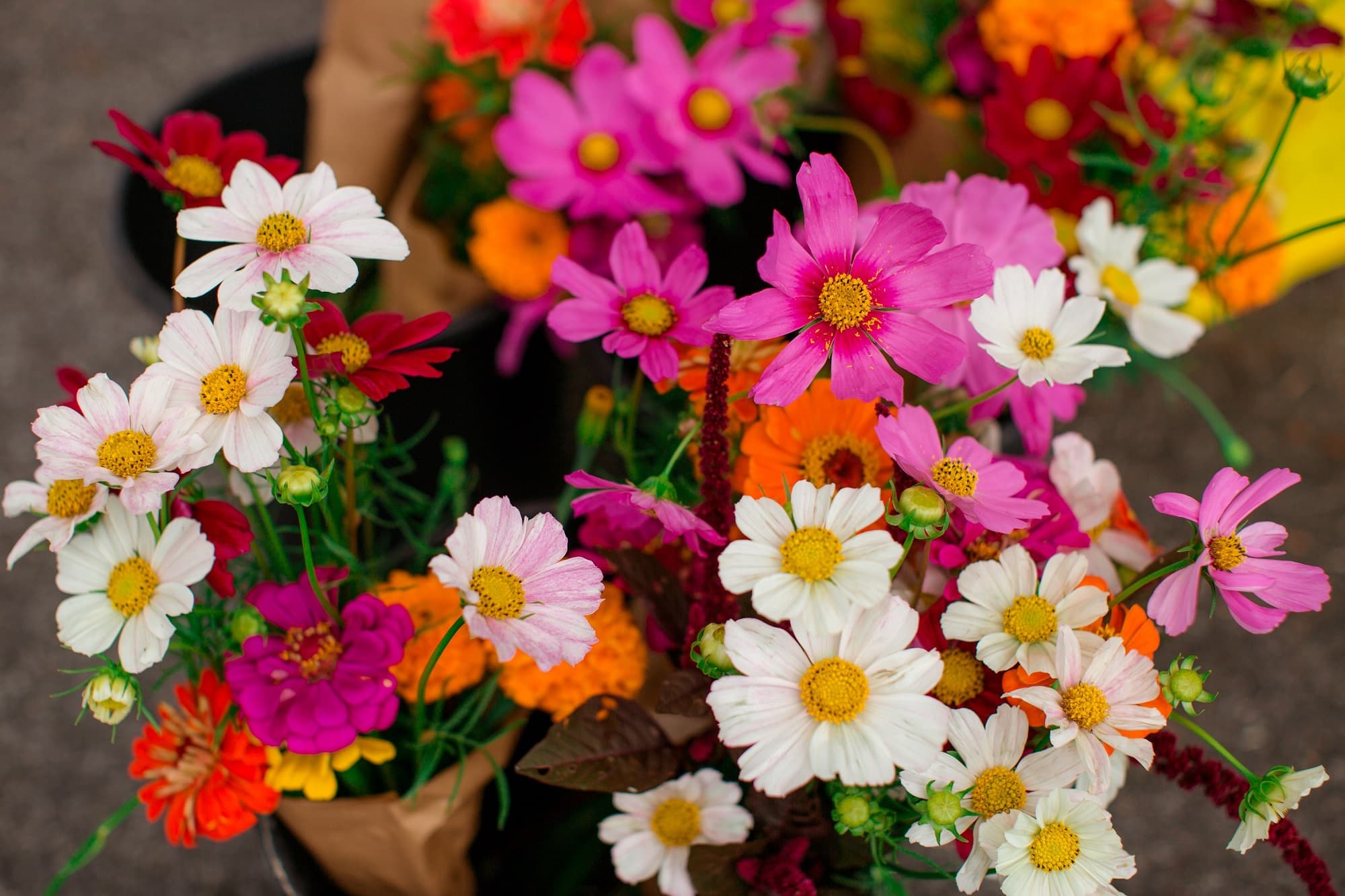 Oakhurst Farmers Market