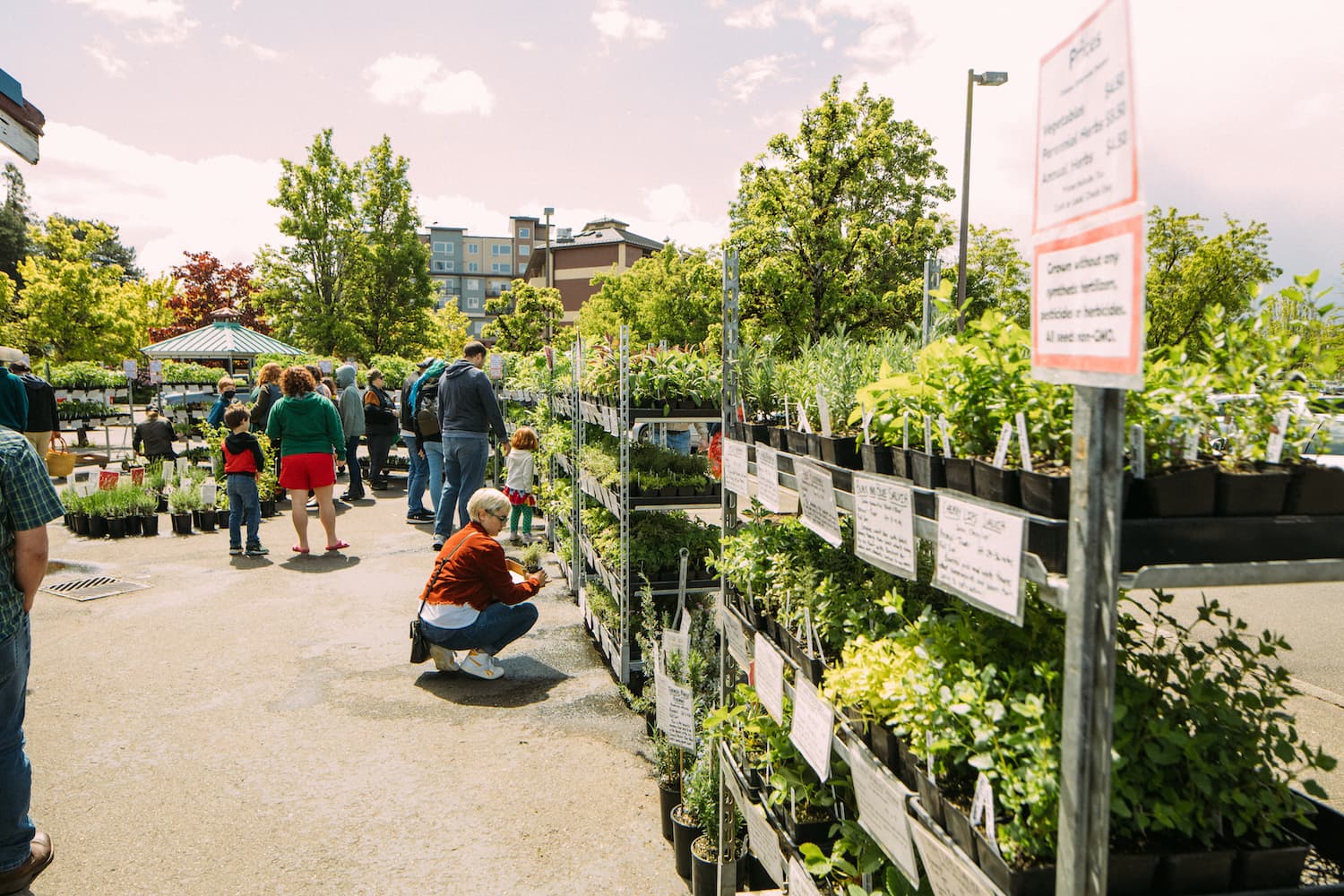 Olympia Farmers' Market