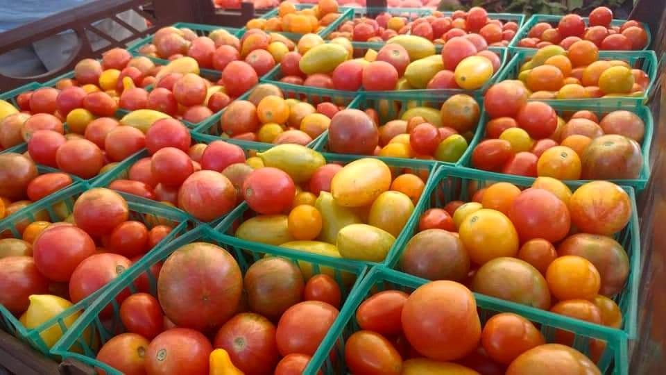 Scott County Farmers' Market