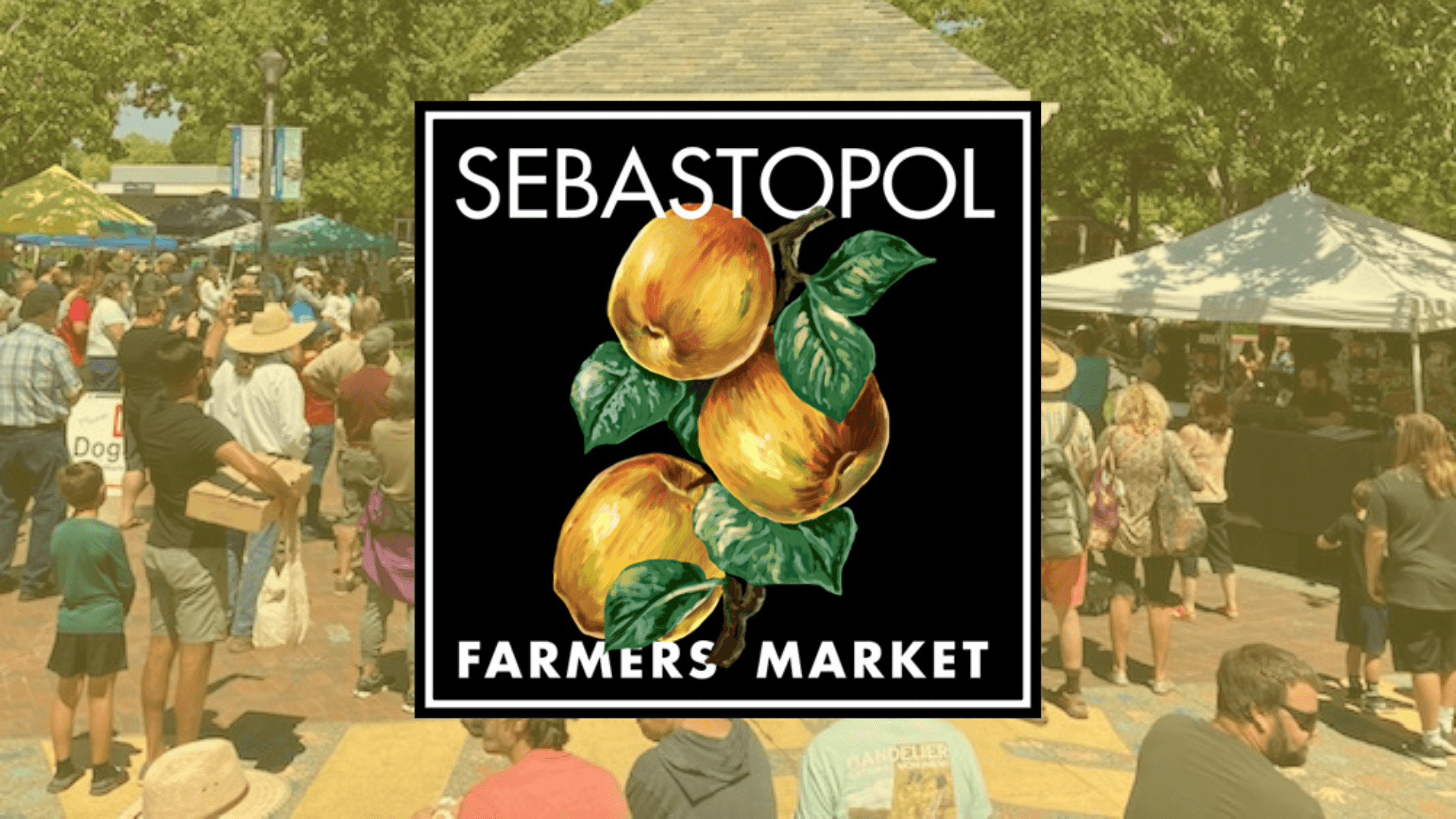 Sebastopol Farmers' Market