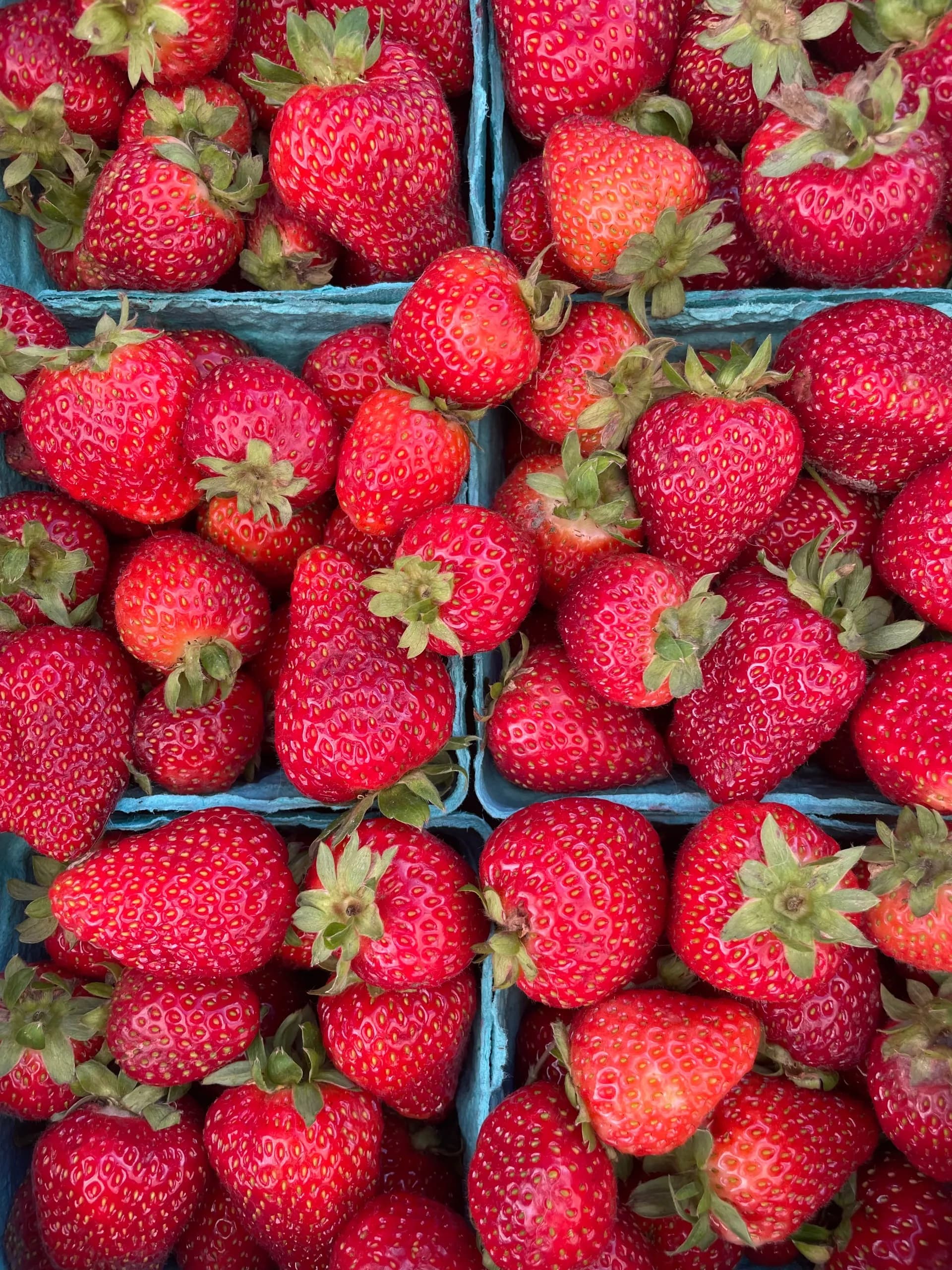 Shoreline Farmers Market