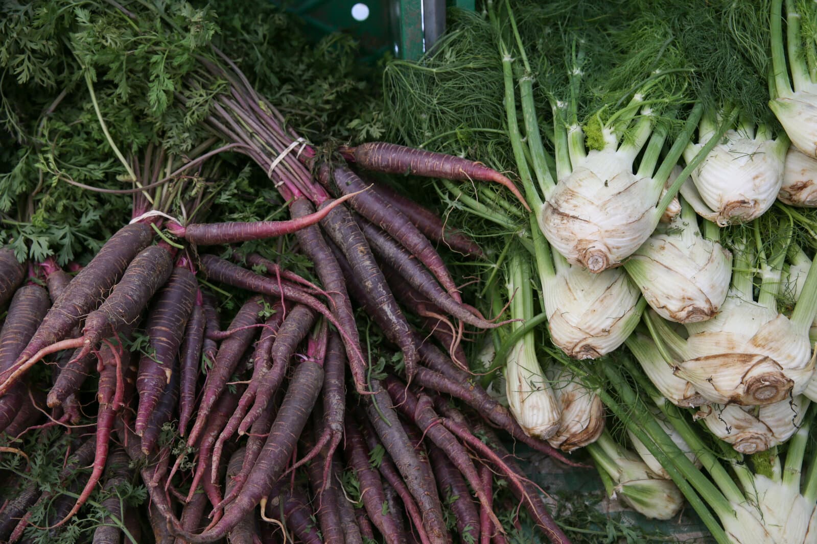 SOAR Farmers Market @ MCA