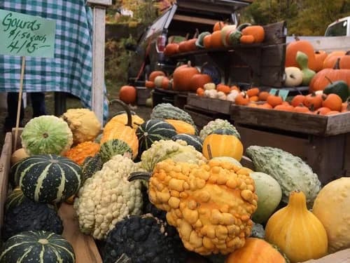 The West River Farmers Market