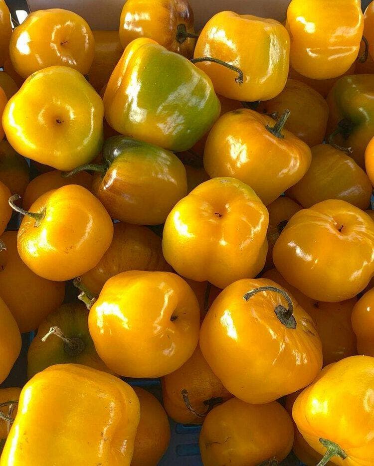 Thousand Oaks Certified Farmers' Market