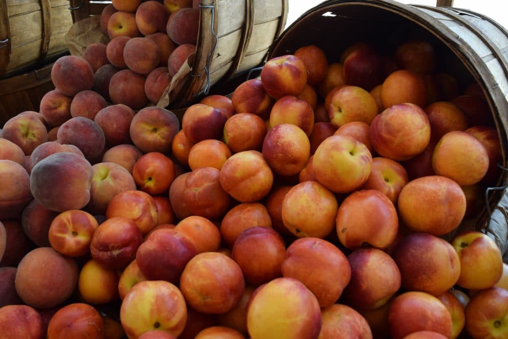 Torrance Certified Farmers' Market