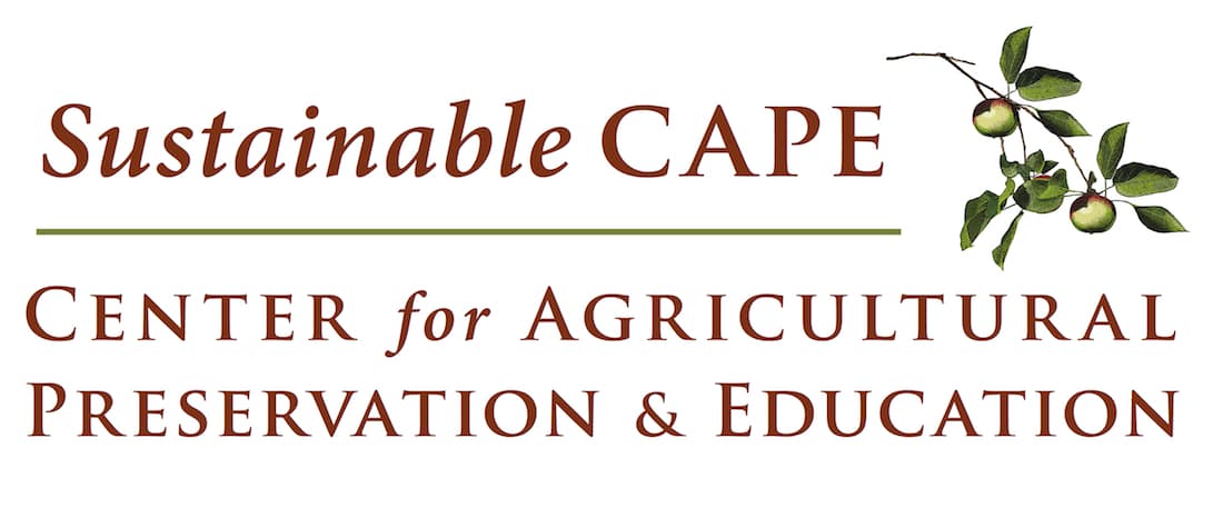 Truro Educational Farmers' Market