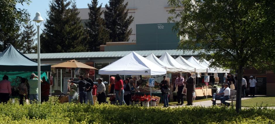 Va Palo Alto Farmers Market
