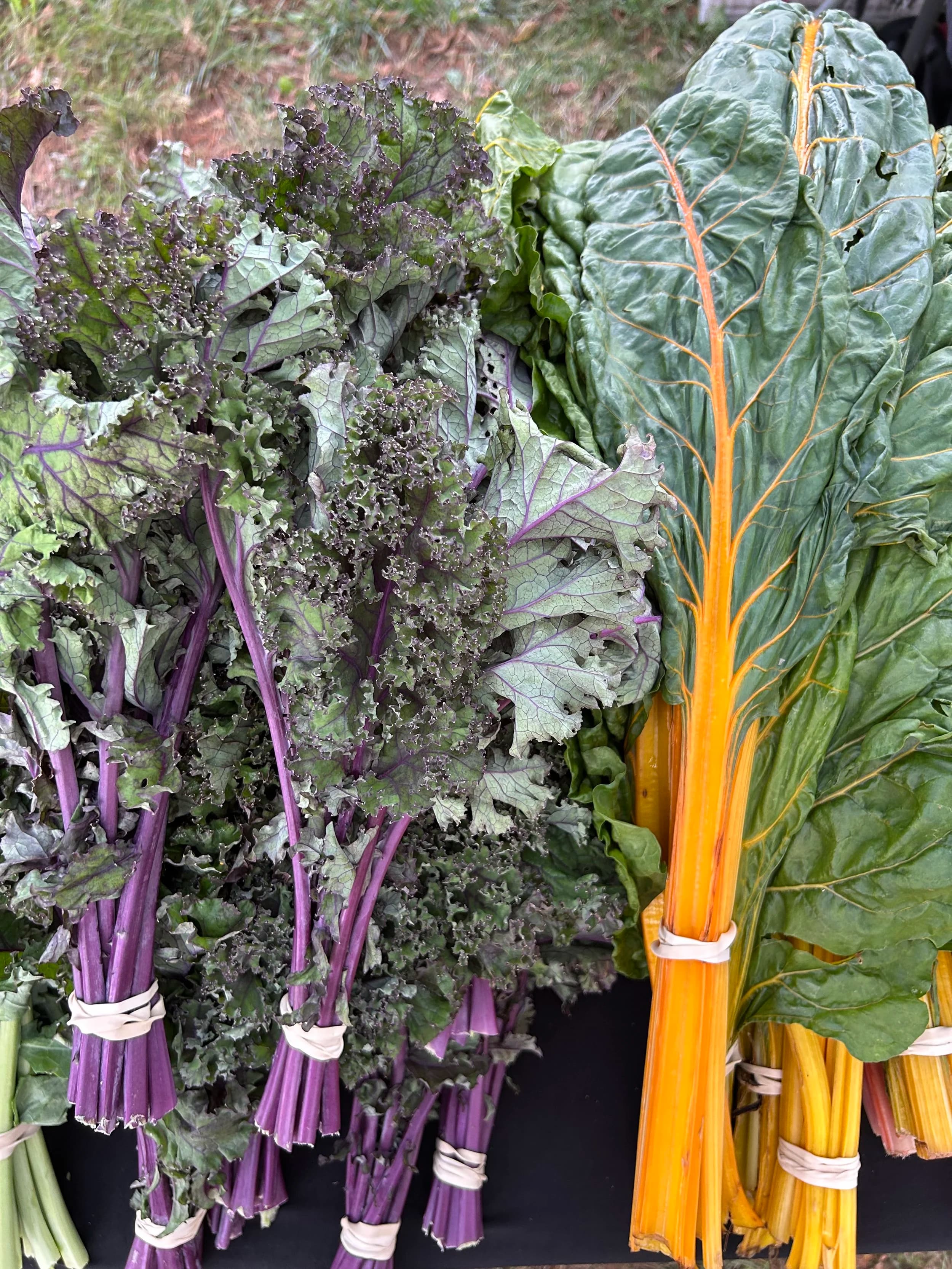West End Farmers' Market