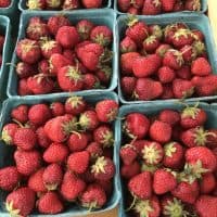 Windham Farmers Market