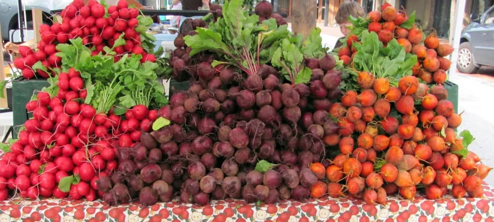 Newburyport Farmers' Market photo 5