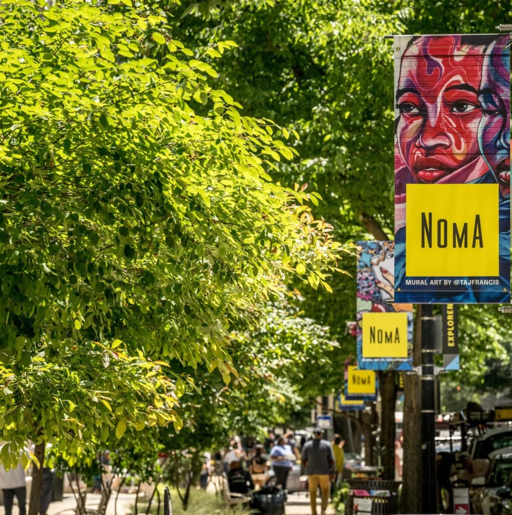 NoMa Farmers Market photo 3