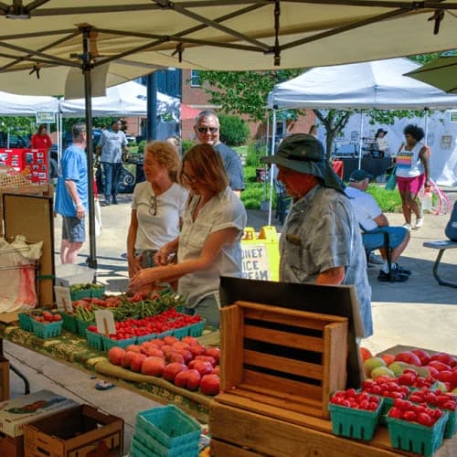 Ferguson Farmers' Market photo 5