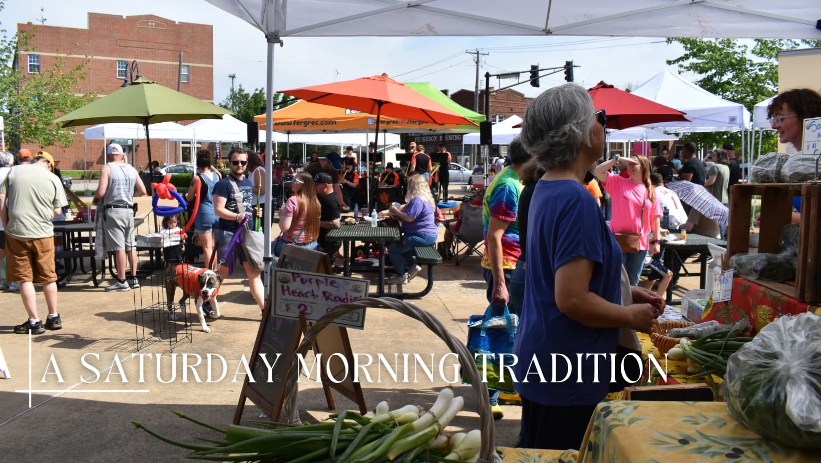 Ferguson Farmers' Market photo 2