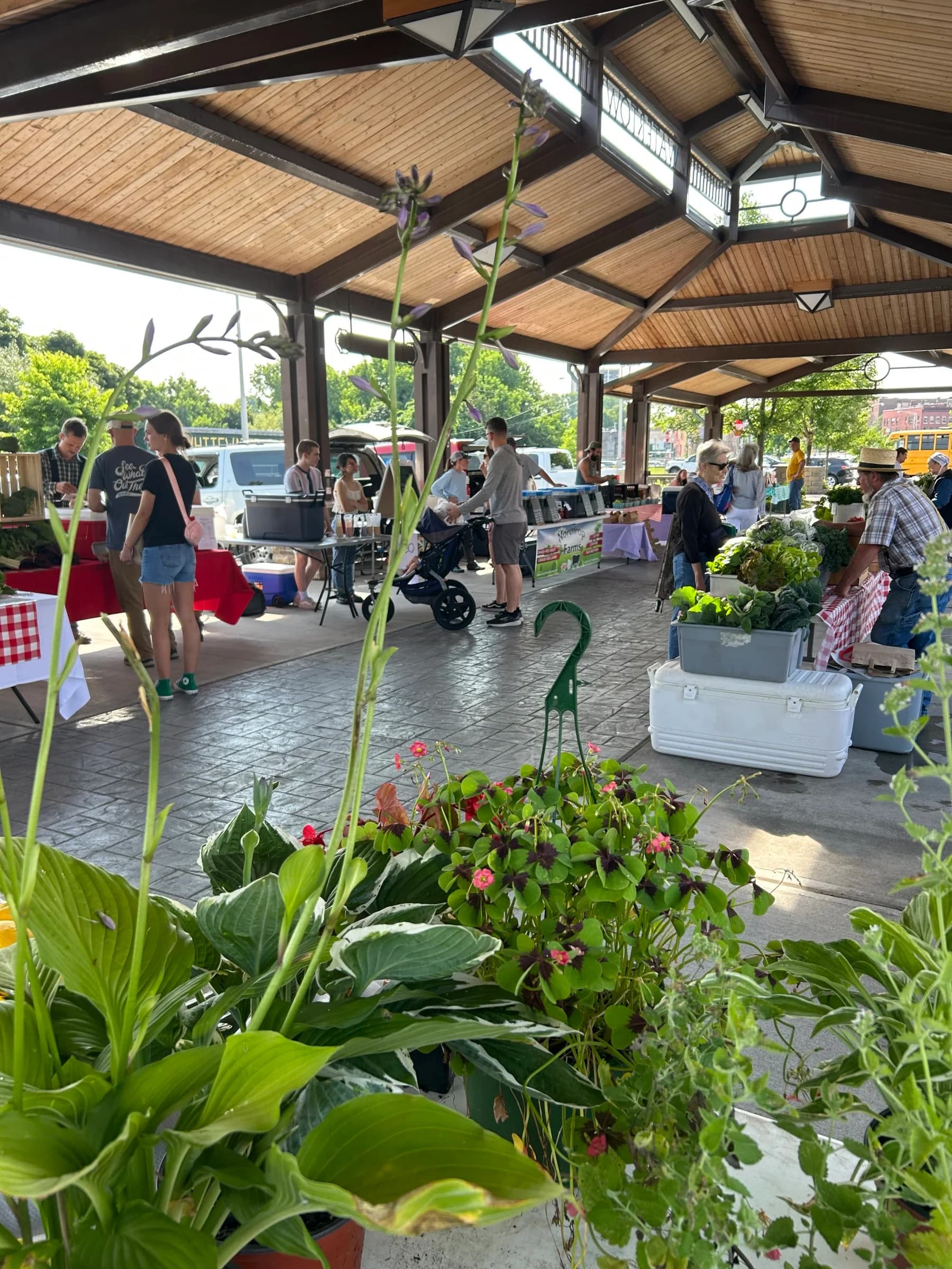 Watertown Saturday Farmers Market photo 4